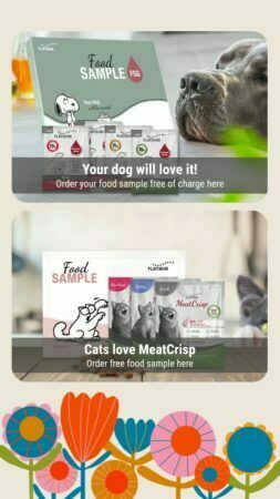 Free Cat & Dog Food samples [Platinum]