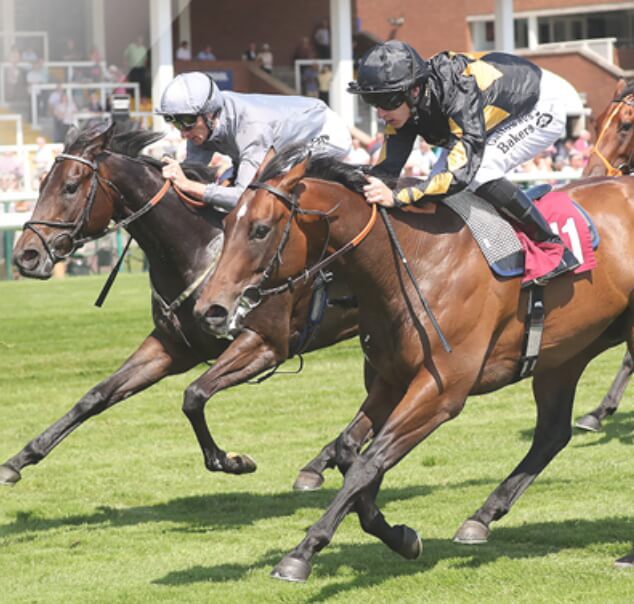 Free horse racing tickets (2500 available)