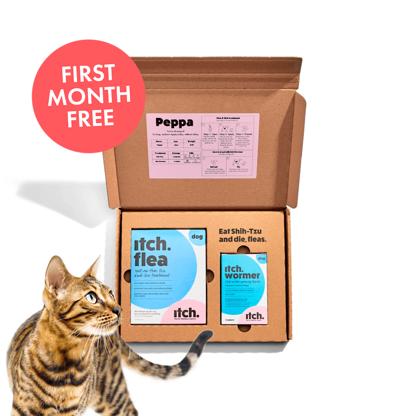 Free flea treatment