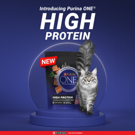 Free Purina One High Protein 650g (worth £6.50) [cashback]