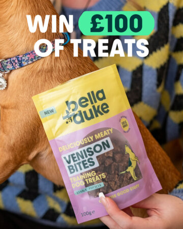 Chance to win £100 of Bella+Duke dog treats