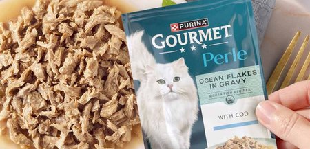 Free Gourmet Cat Food Samples