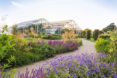 Free RHS Garden entry (worth £17)