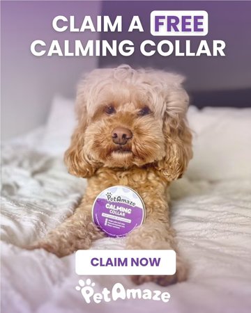 Free Dog Calming Collar (worth £14.99) (delivered free)