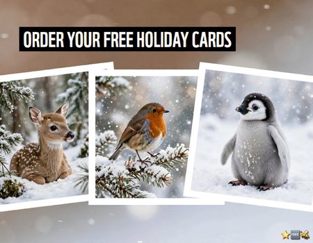 Free Animal Christmas Cards (WWF) [delivered free]