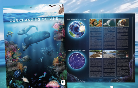 Free Blue Planet 3 Posters (delivered free)